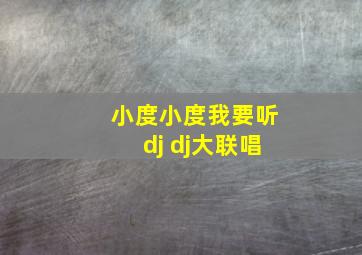 小度小度我要听dj dj大联唱